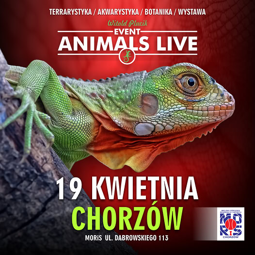 Animals Live Chorzów 2026 - Terrarystyka &amp; Akwarystyka &amp; Botanika