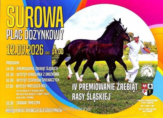 IV Premiowanie Źrebiąt Rasy Śląskiej i Festyn Wiejski w Surowej