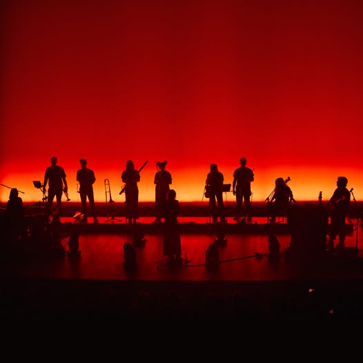 The Dumplings Orkiestra